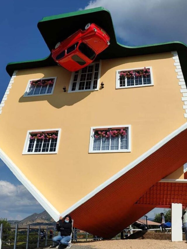 Top 10 Most Expensive Houses in Florida Damia Global Services Private Limited