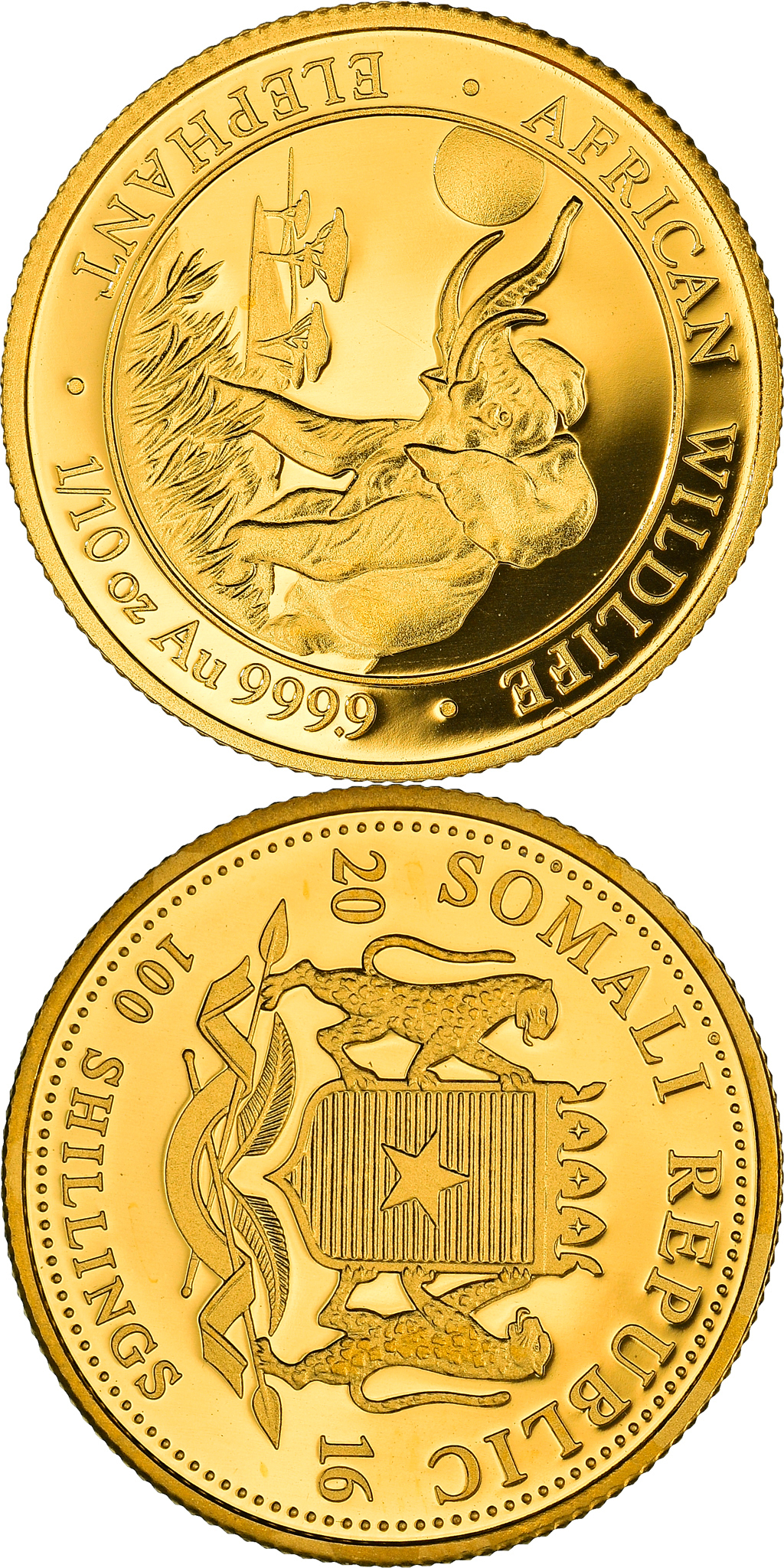 10.-Gold-Somalian-Elephant-1.png