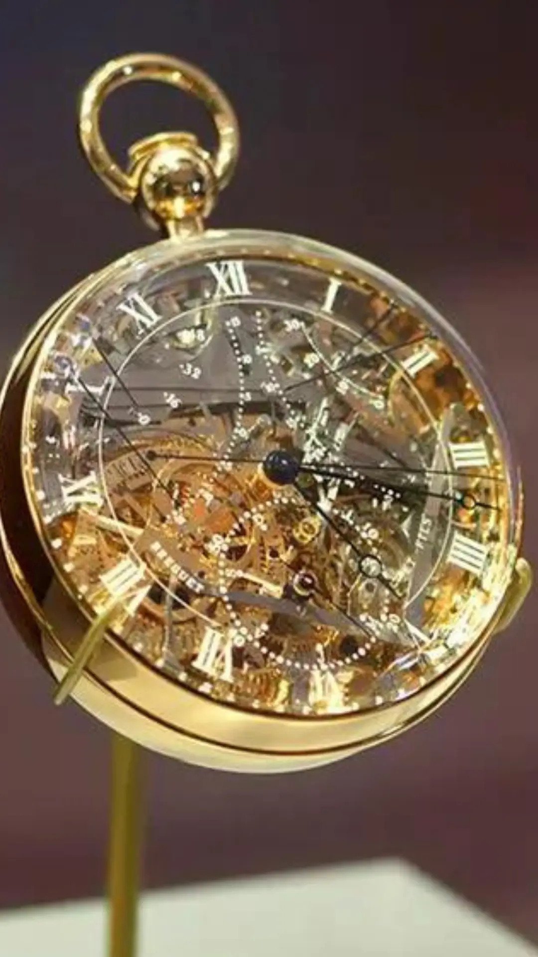 10 Most Expensive Watches in the World Damia Global Services