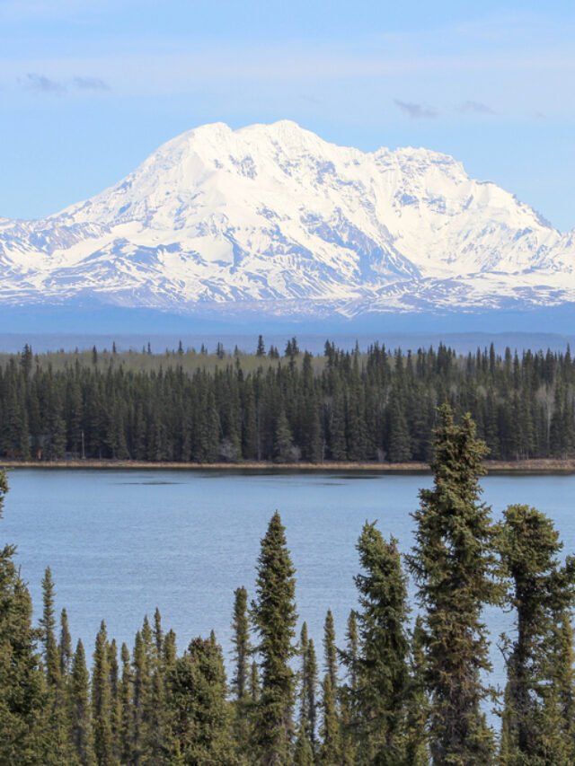 The 10 highest mountains in the usa damia global services private limited