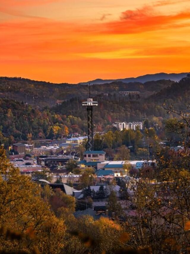 Top 10 Things To Do in Gatlinburg, TN Damia Global Services Private
