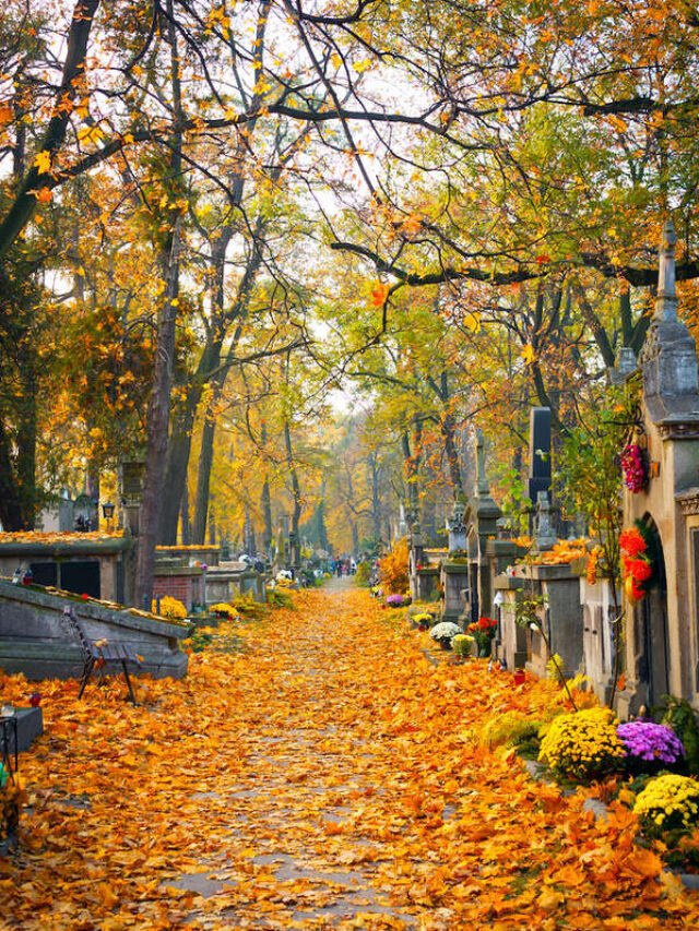 10 Most Beautiful Cemeteries In The US - Damia Global Services Private ...