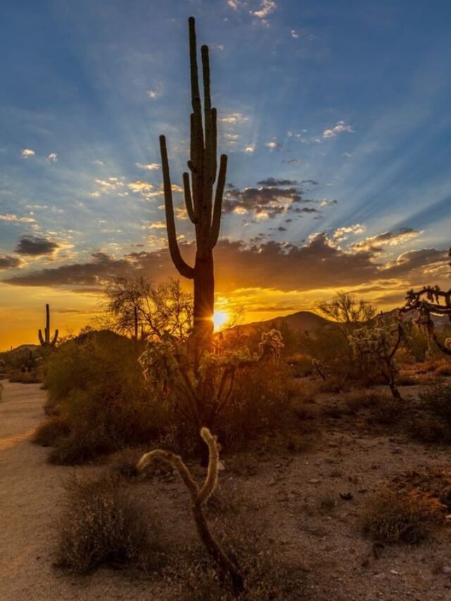 Top 10 Most Beautiful Small Towns To Live in Arizona - Damia Global ...